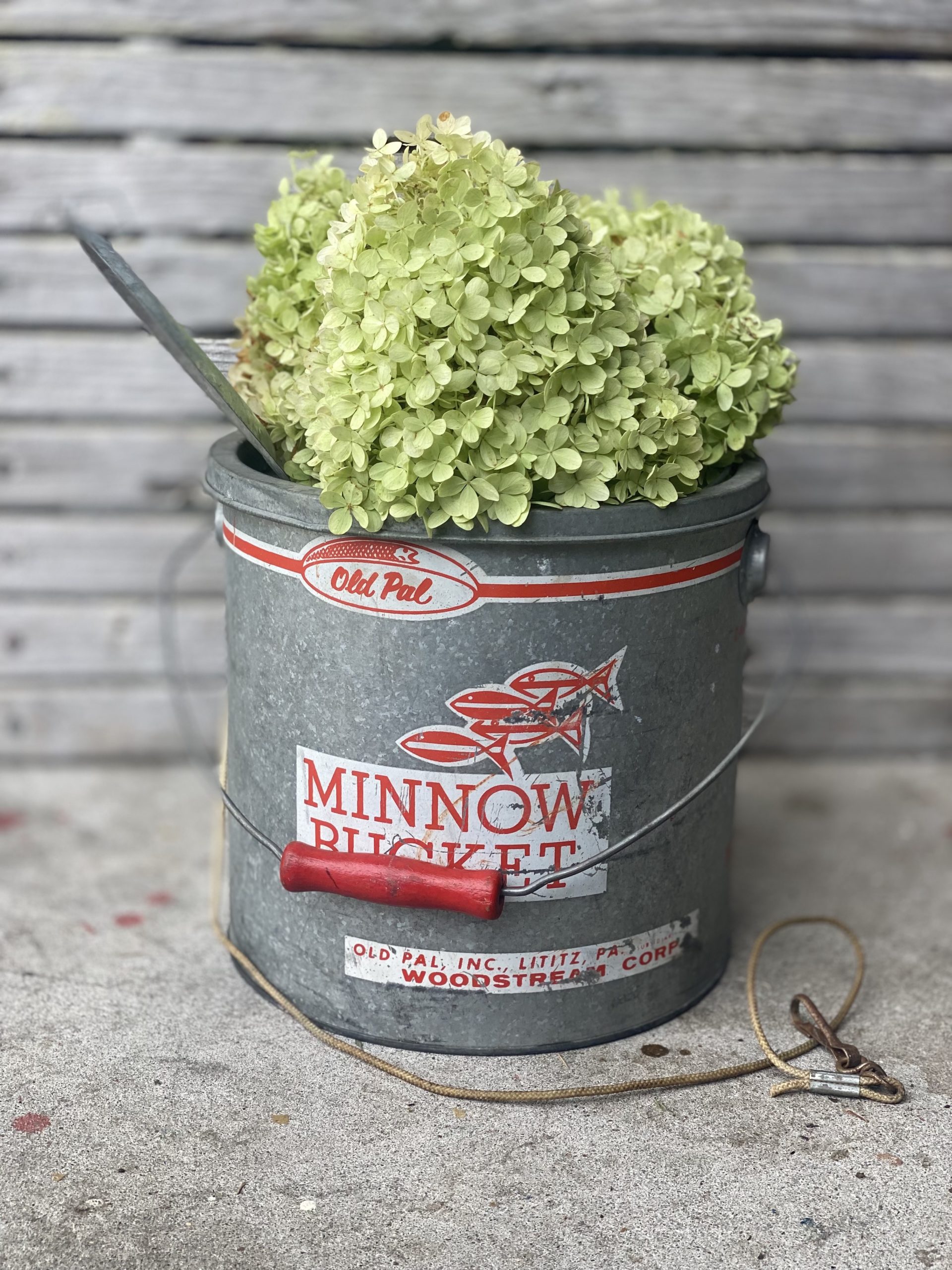 Vintage “Old Pal” Minnow Bucket/Pail – DogOverboard